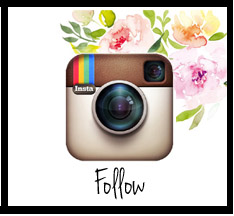 instagram button